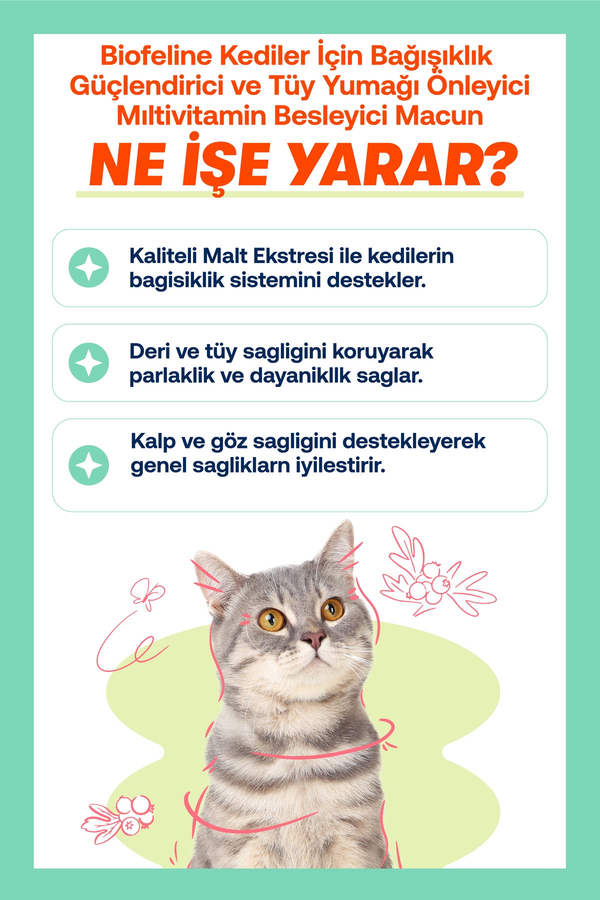 Kediler İçin Tüy Yumağı & Bağışıklık Destek Macunu 100 g | BioFeline