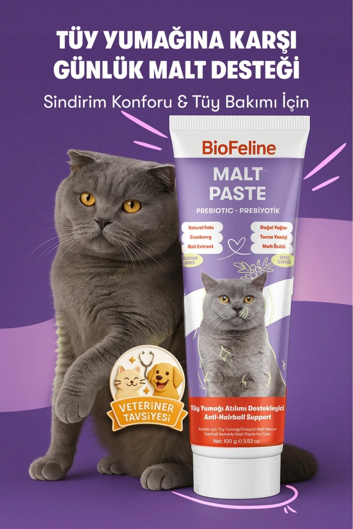 Kediler İçin Tüy Yumağı Önleyici Malt Macunu 100 g | BioFeline