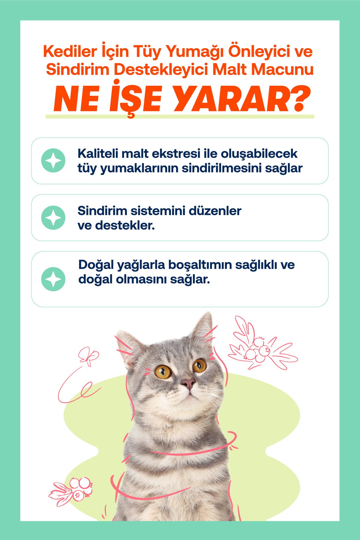 Kediler İçin Tüy Dökülmesi & Bağışıklık Destek Seti | BioFeline