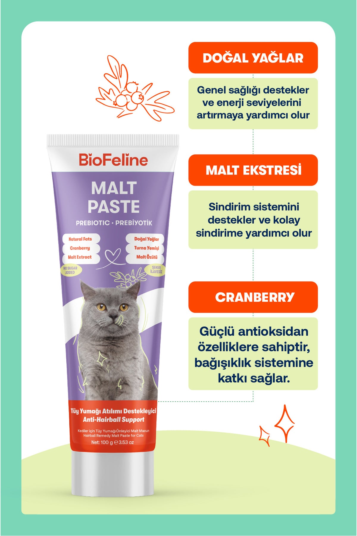 Kediler İçin Tüy Yumağı Önleyici Malt Macunu 100 g | BioFeline