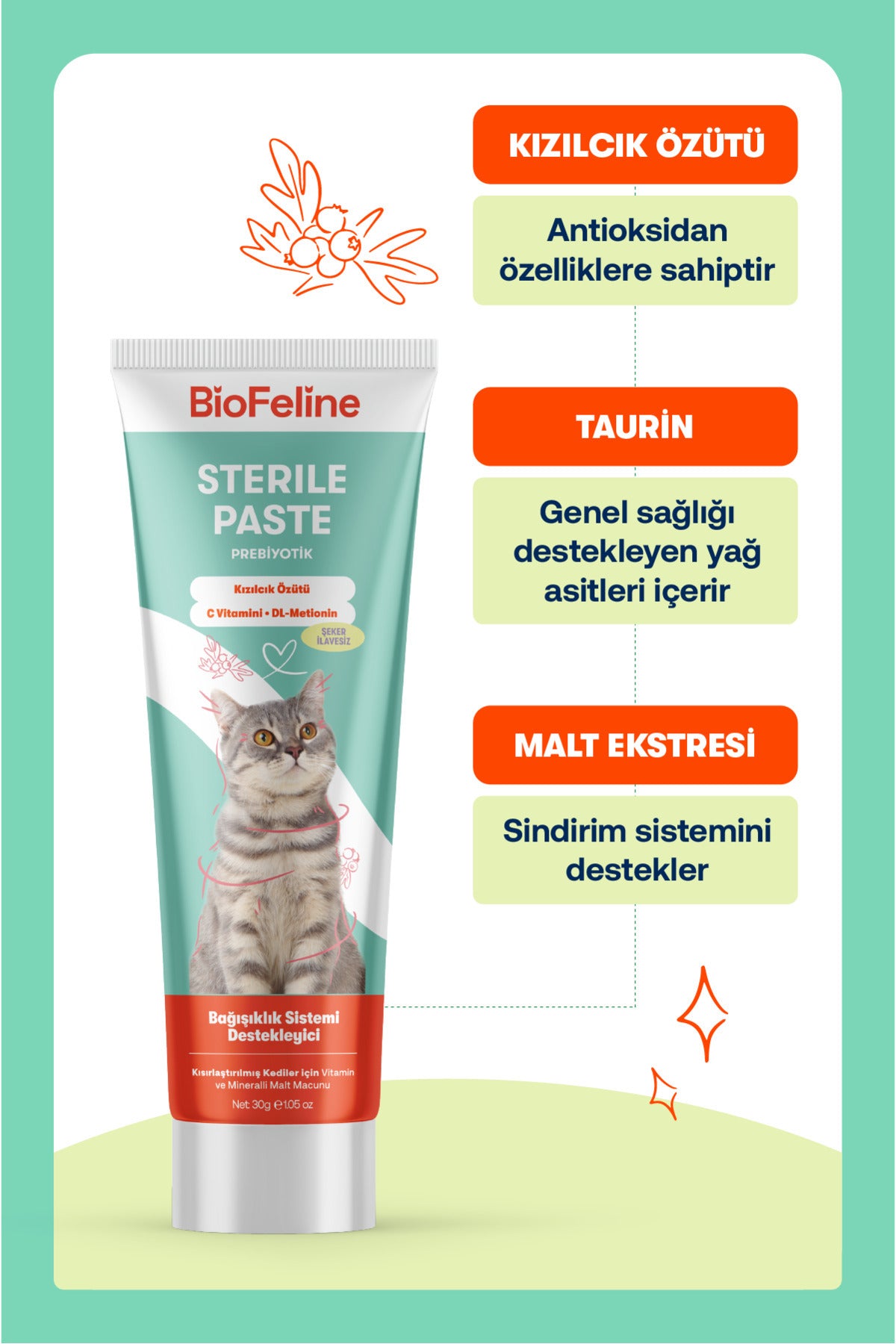Kısır Kediler İçin Tüy & Sindirim Destekleyici Multivitamin Malt Macunu 30 g | BioFeline
