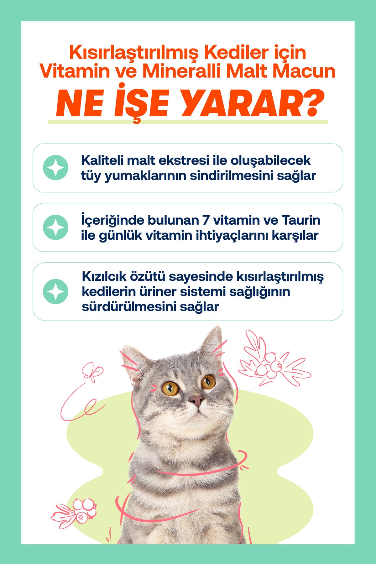 Kısır Kediler İçin Tüy & Sindirim Destekleyici Multivitamin Malt Macunu 30 g | BioFeline