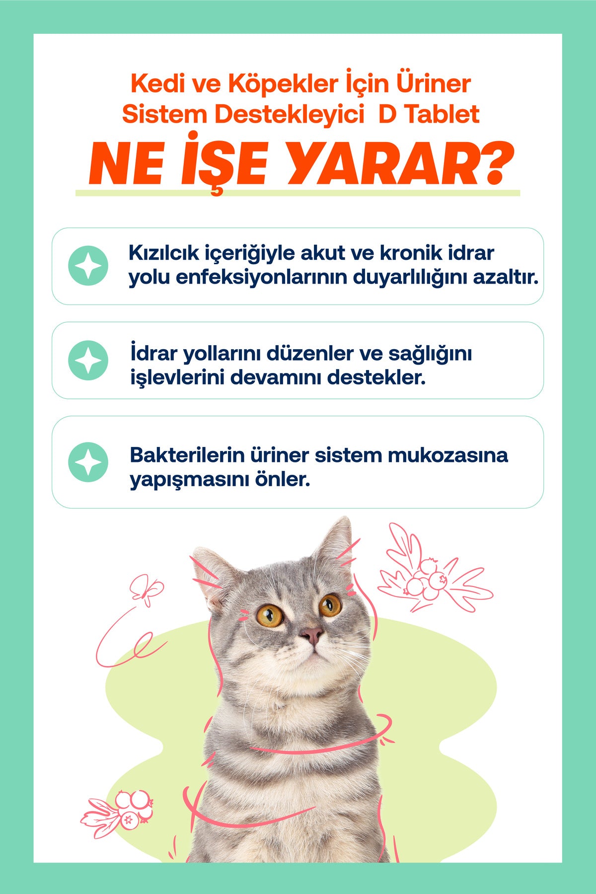 Kedi & Köpek İçin Üriner Destek Tableti – İdrar Yolu Konforu, 75 Adet | BioFeline