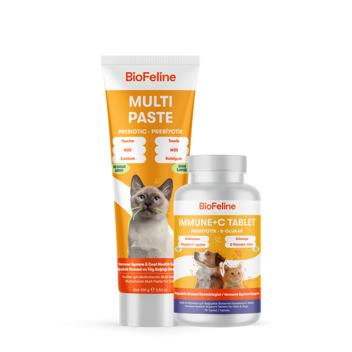 Kediler İçin Bağışıklık & Enerji Destek Seti – Multivitamin | BioFeline