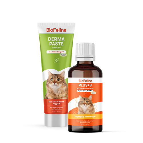 Kediler İçin Tüy Dökülmesi Karşıtı & Deri Yenileyici Derma Malt Macunu | BioFeline