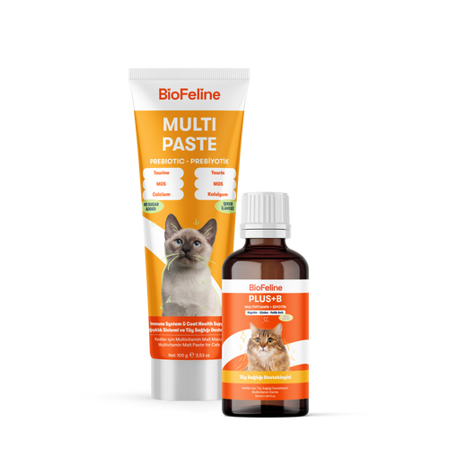 Kediler İçin Tüy Dökülmesi Karşıtı Genel Sağlık Seti – Biotin & Çinko & Malt | BioFeline