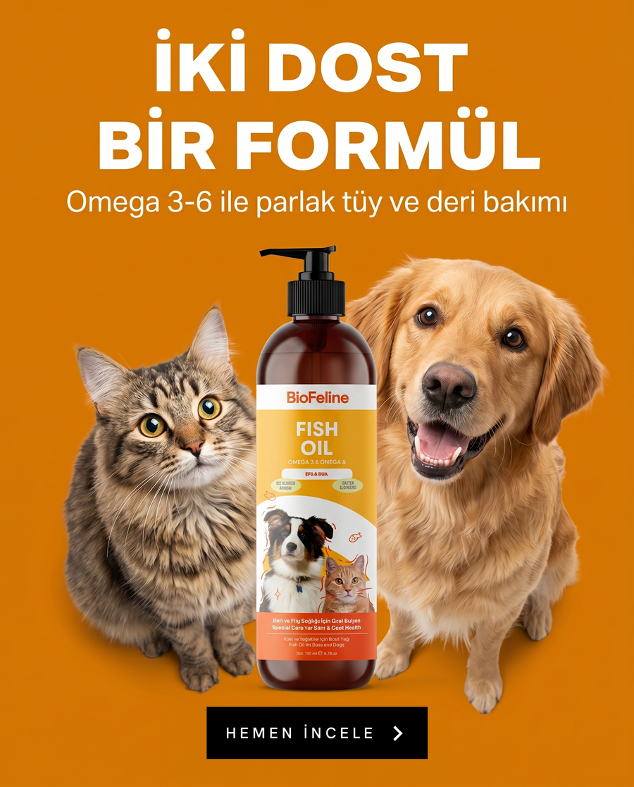 BUGÜN SOKAKTAKİ HER PATİNİN SANA BİR MESAJI VAR