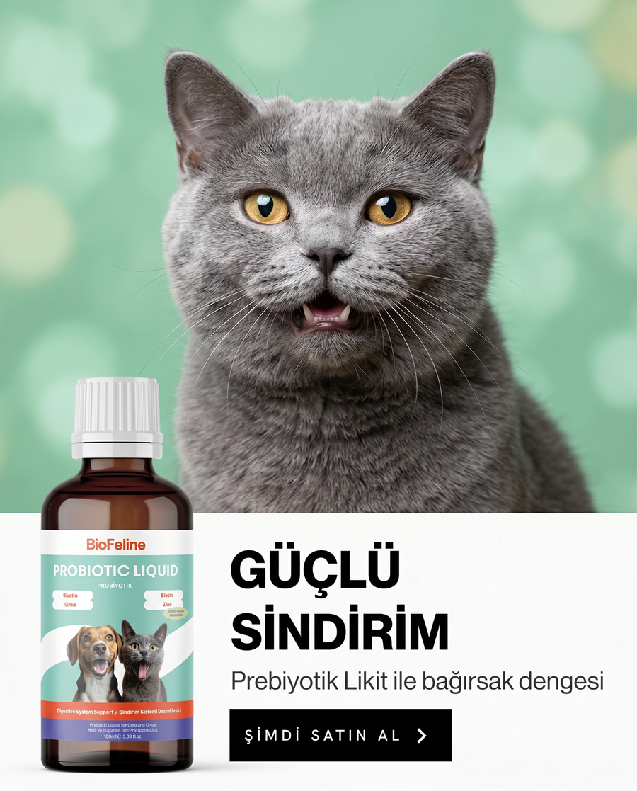 TÜM ÜRÜNLERDE GEÇERLİ BAHAR FIRSATI