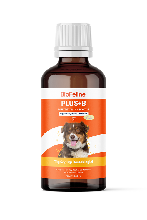 Köpekler İçin Biotin Damla – Tüy Dökülmesi ve Deri Sağlığı Desteği, 50 ml | BioFeline