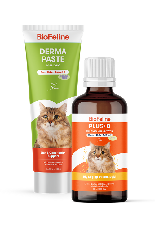 Kediler İçin Tüy Dökülmesi Karşıtı & Deri Yenileyici Derma Malt Macunu | BioFeline
