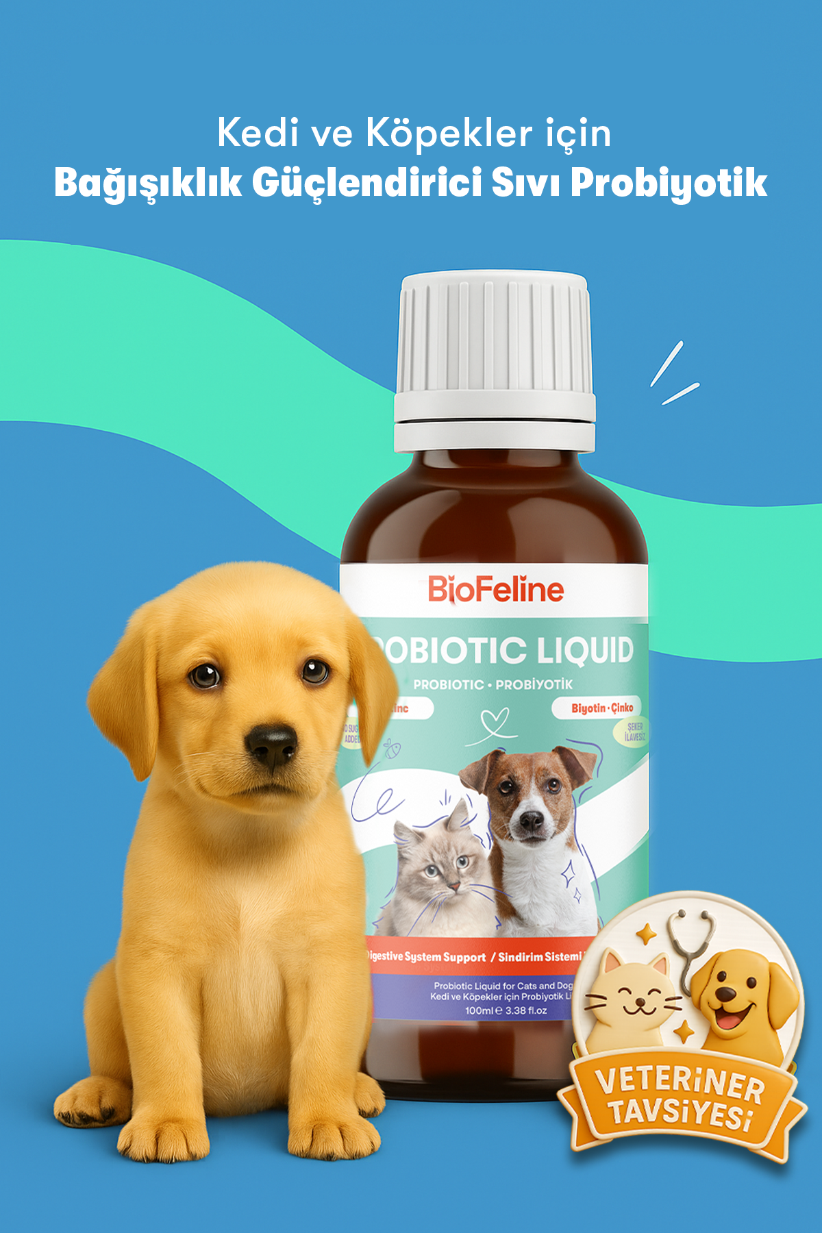 Kedi Köpek Ishal Kabizlik Sindirim Probiyotik – Tüy Sağlığı | BioFeline