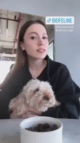 Hikaye 4