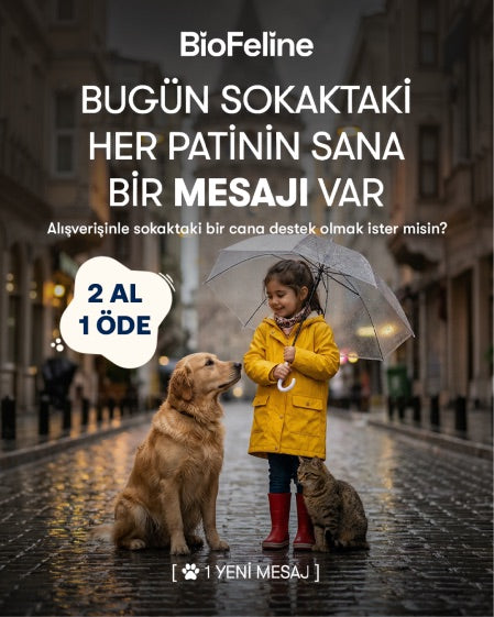 BUGÜN SOKAKTAKİ HER PATİNİN SANA BİR MESAJI VAR