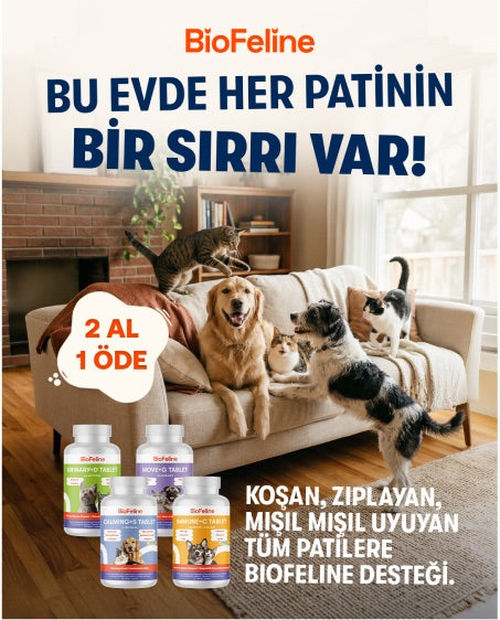 BU EVDE HER PATİNİN BİR SIRRI VAR!
