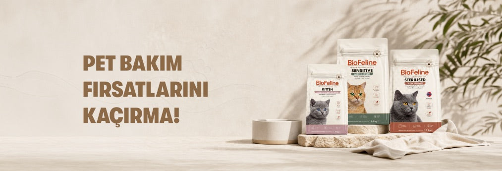 PET BAKIM FIRSATLARINI KAÇIRMA!